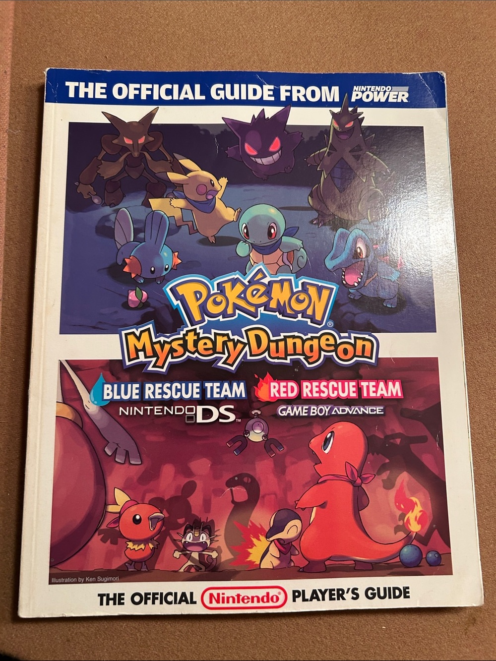 Nintendo Pokémon Mystery Dungeon Guide